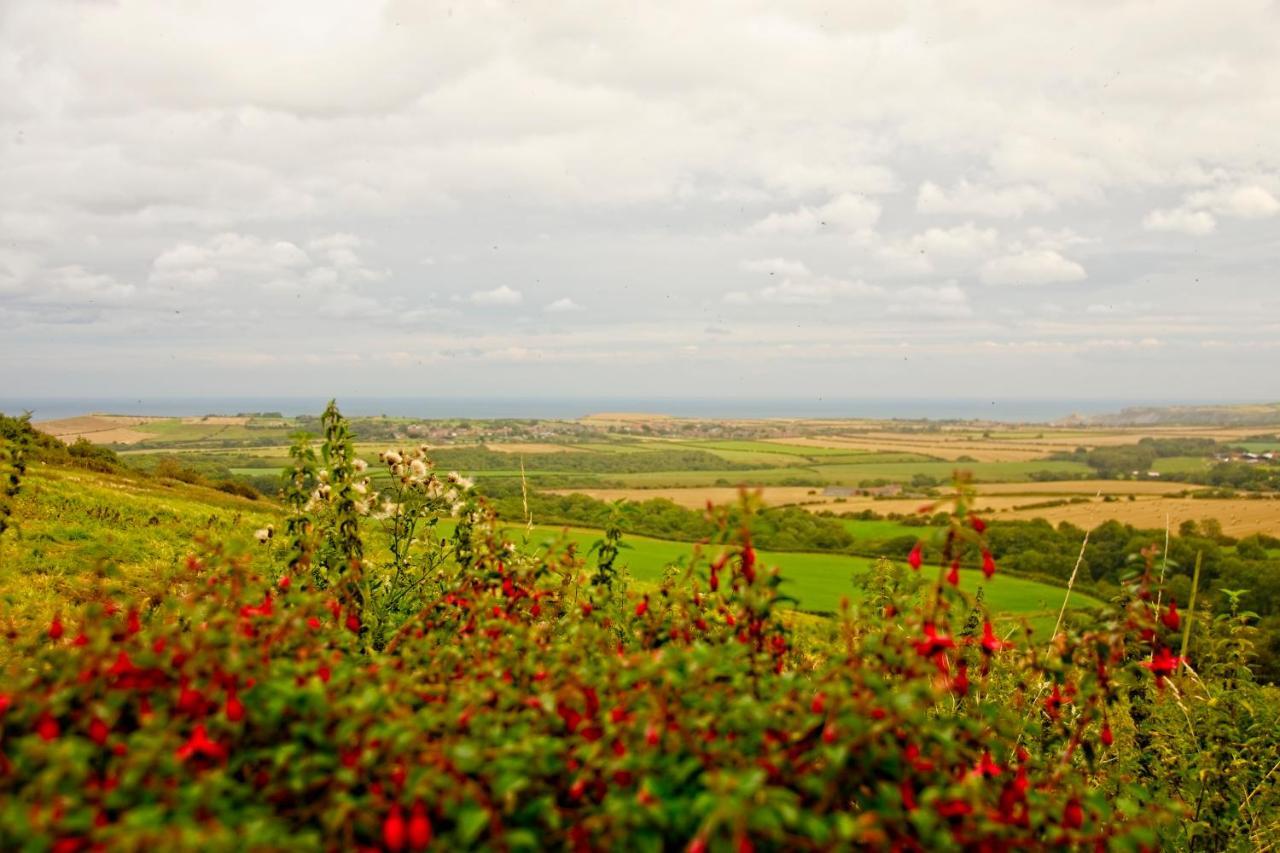 Rosecombe, Borrowby Farm Cottages ستيثيس المظهر الخارجي الصورة